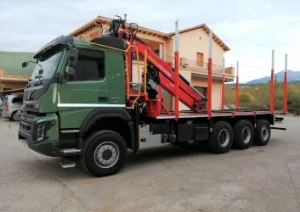 Muntatge de grues plataformes ESMI